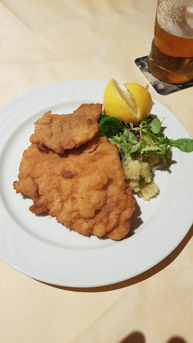 Restaurace Sklípek, Restaurace Karlovy Vary - Gastronomie a pohostinství