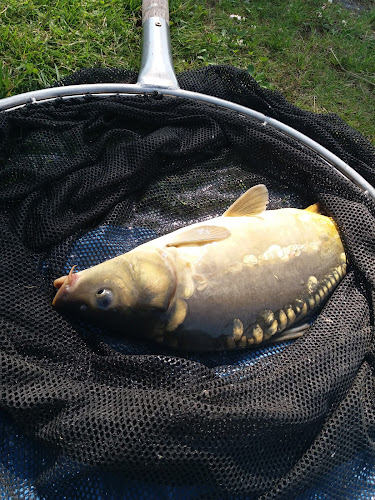 Comentarii opinii despre U ŽABÁKA