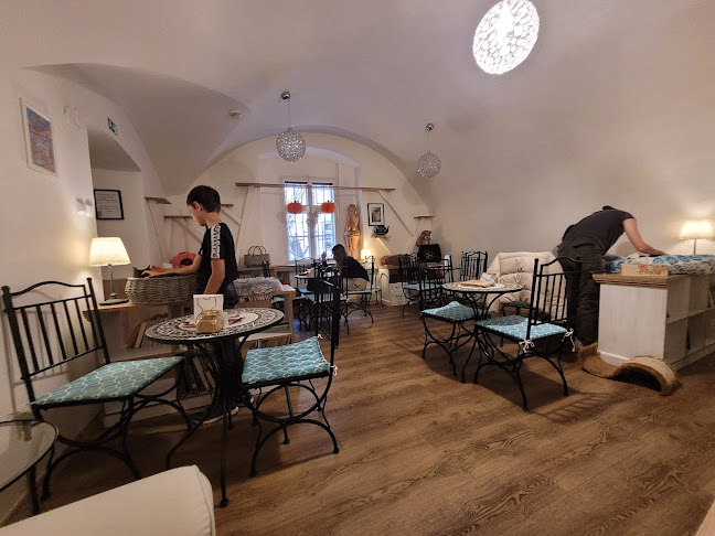 Comentarii opinii despre Kavárna Kočičí Praha