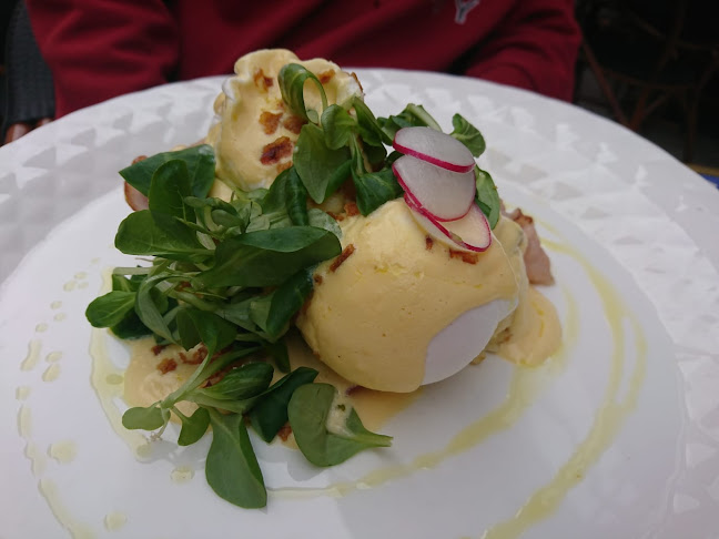 Černá Madona - Gastronomie a pohostinství