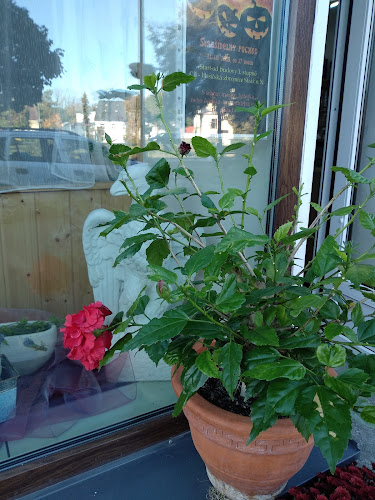 COMEL CAFE - Liberec