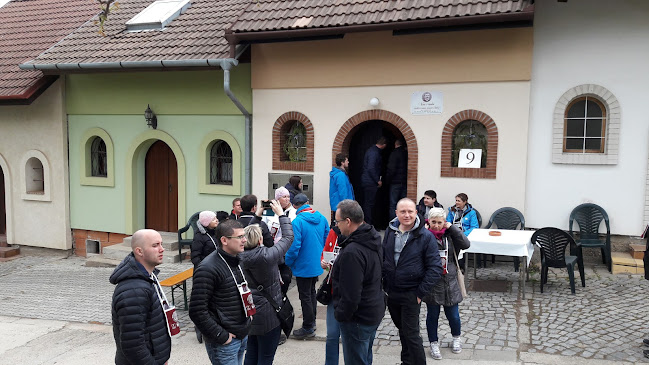 Synot - Gastronomie a pohostinství