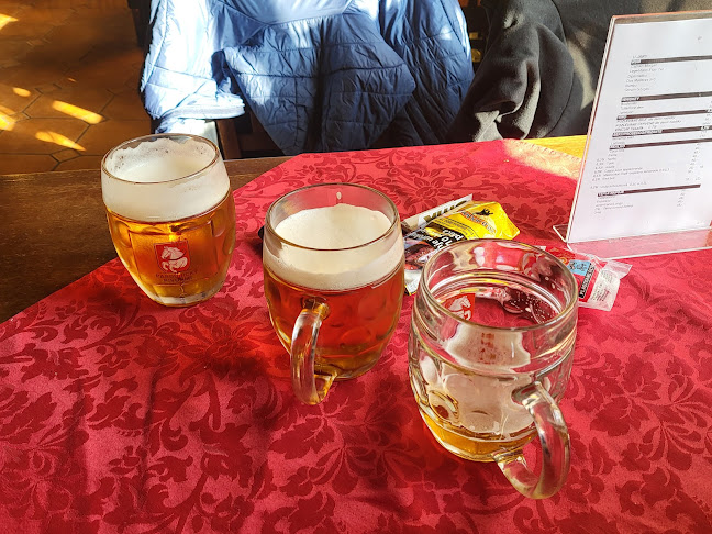 Comentarii opinii despre Pivnice u Járy