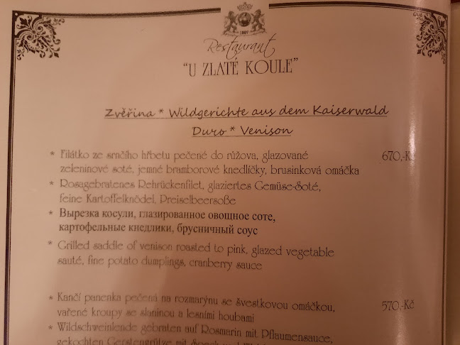 Restaurace U Zlaté koule - Mariánské Lázně