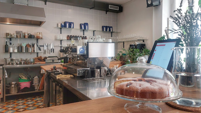 Comentarii opinii despre Tvaroh