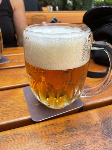 Comentarii opinii despre Pizzerie U Kozliků