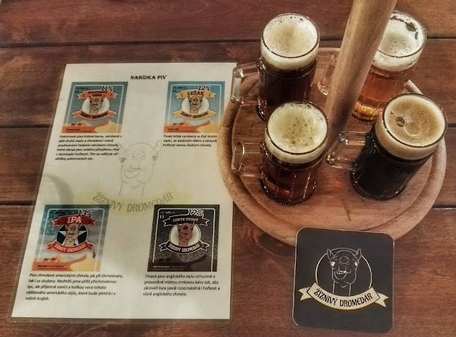 Žíznivý dromedár - Minipivovar a restaurace Ostrava - Ostrava