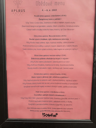 Opinii despre Bohém Restaurant Litomyšl în Litomyšl - Gastronomie a pohostinství