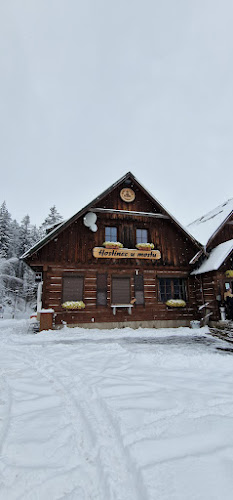 Comentarii opinii despre Hostinec U Mostu