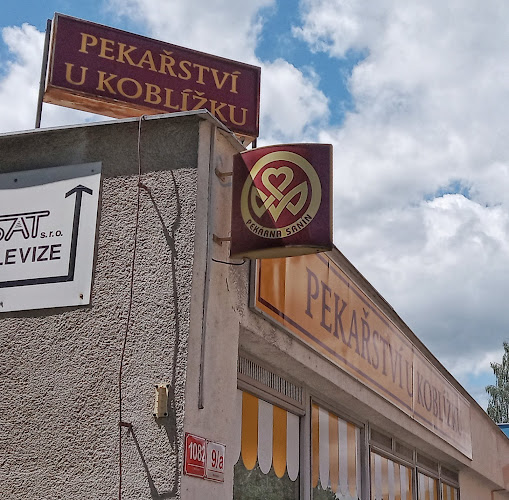 9, Bezdrevská 1163, 370 11 České Budějovice