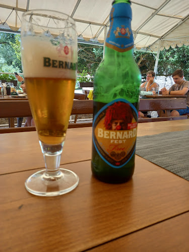 Restaurace Zámek Choltice - Gastronomie a pohostinství