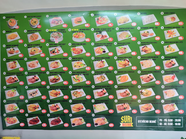 8. května 153/9, 410 02 Lovosice 2