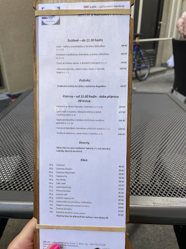 Veselá 166/18, 602 00 Brno-střed