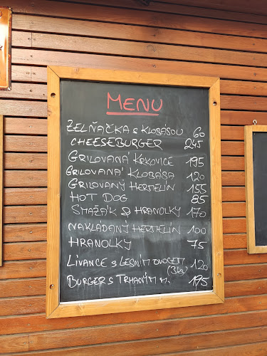 Comentarii opinii despre Restaurace U krále Václava IV.