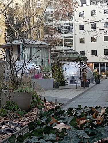 Opinii despre Crystal Gardens Slovanský dům în Staré Město - Gastronomie a pohostinství