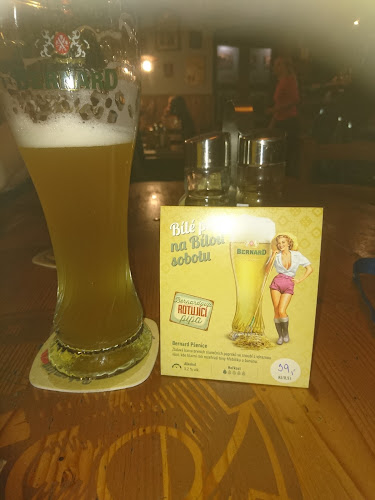 Opinii despre Restaurace Nostalgie în Teplice - Gastronomie a pohostinství