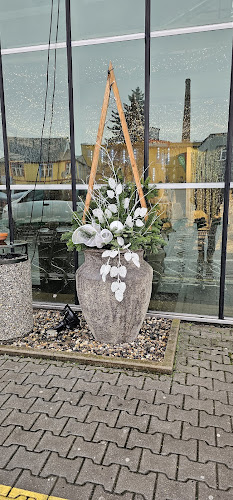 Café Dvořák a syn