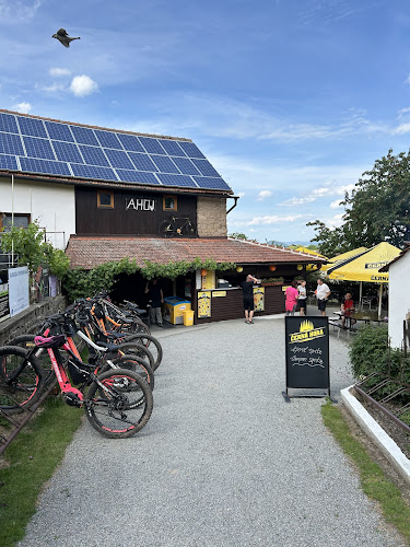 Hostinec U Zvěřinů & zahrádka - Brno