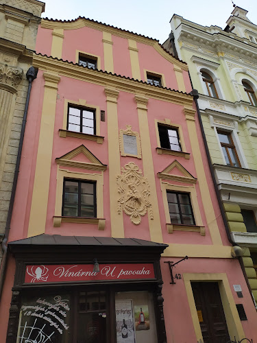 U pavouka - Gastronomie a pohostinství