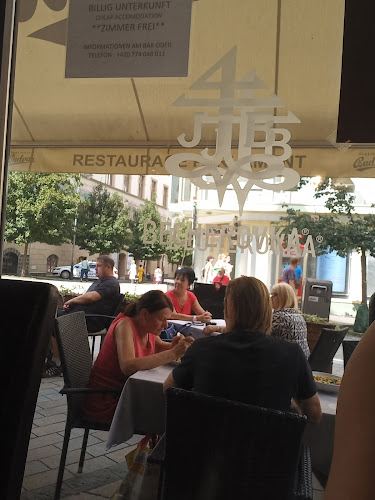 Comentarii opinii despre Restaurace Parlament Karlovy Vary