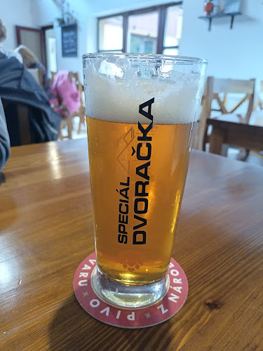 Opinii despre Hostinec Dvoračka în Trutnov - Gastronomie a pohostinství