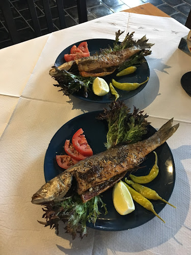 Athina - řecká restaurace | Děčín |