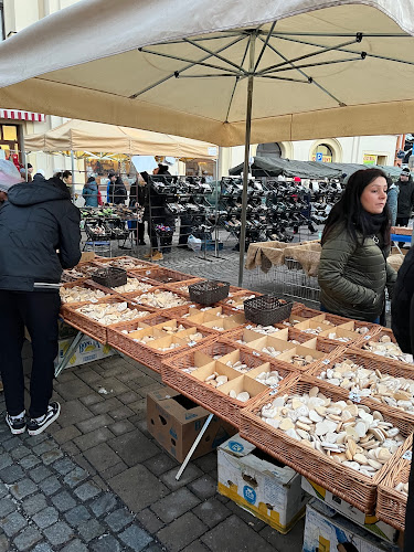 KING BENNY JILEMNICE - Gastronomie a pohostinství