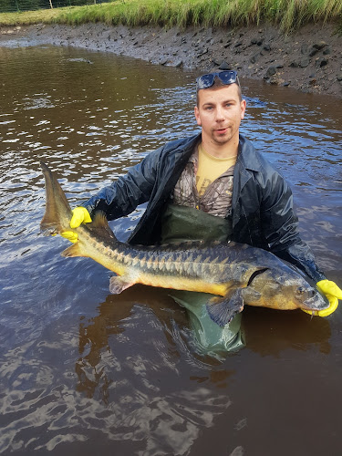 Comentarii opinii despre Ryby Vlček