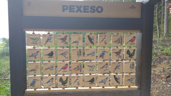 Restaurace Zámeček - Gastronomie a pohostinství