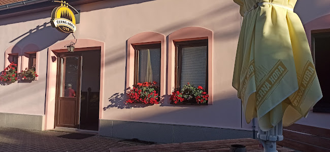 Opinii despre Hospůdka U netopýra în Brno - Gastronomie a pohostinství