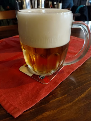 Comentarii opinii despre U sv. Antoníčka