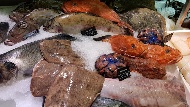 Comentarii opinii despre the italians wine food