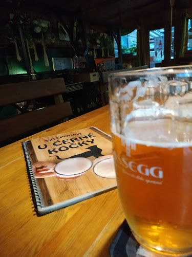 Hospůdka U Černé kočky - Gastronomie a pohostinství