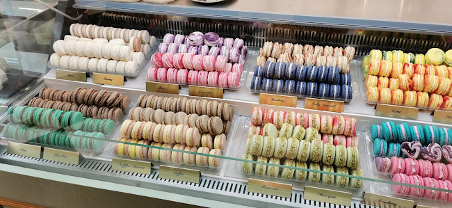 Opinii despre Mad Rabbit în Staré Město - Gastronomie a pohostinství