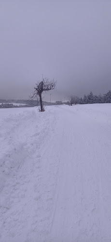 Hotel a restaurace Krušnohorský Dvůr