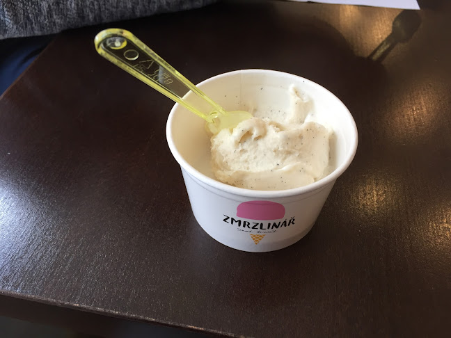 Comentarii opinii despre Zmrzlinář