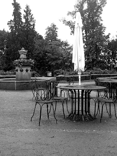 Comentarii opinii despre Café Orangerie