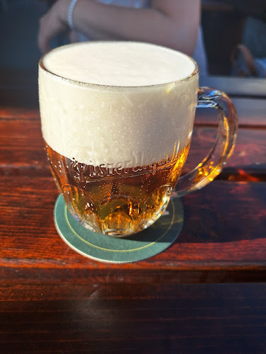 Teplické Výsluní - Gastronomie a pohostinství