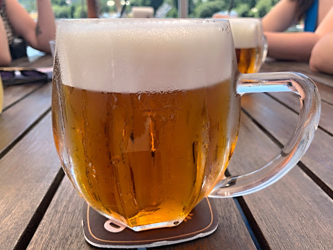 Opinii despre Restaurace Podolka în Praha - Gastronomie a pohostinství