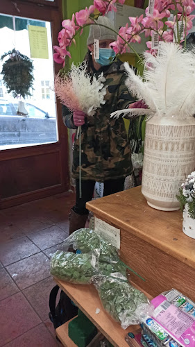 Opinii despre Květinářství u Santošky în Praha - Gastronomie a pohostinství