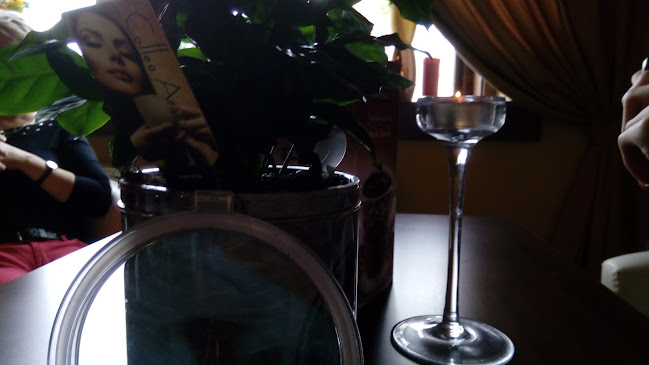 Kočičí kavárenský klub - Gastronomie a pohostinství