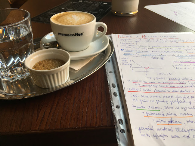 48, Nuselská 209, Nusle, 140 00 Praha 4