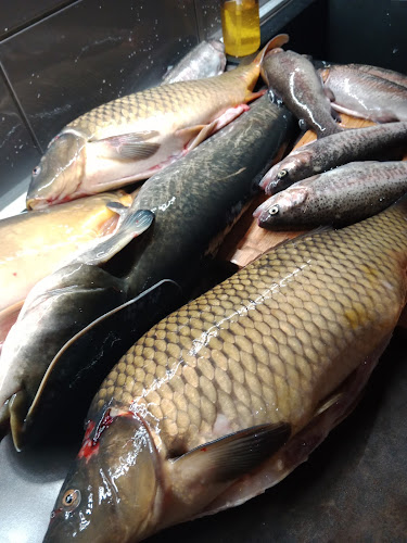 Comentarii opinii despre Pivnice Hanačka