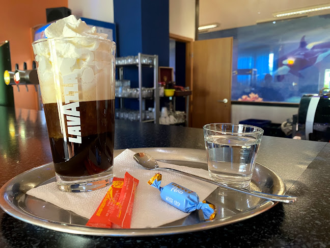 Bowling Nikita - Bruntál