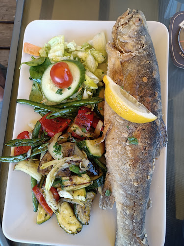 K Zámečku 212, 533 21 Vysoké Chvojno