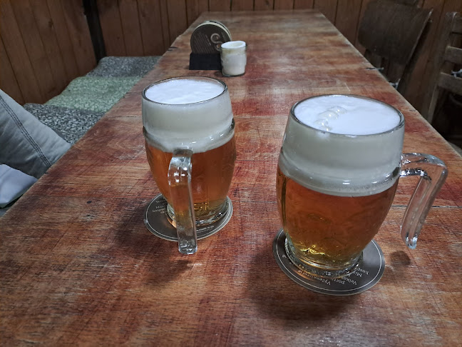 Comentarii opinii despre Hospůdka U Zlatokopa