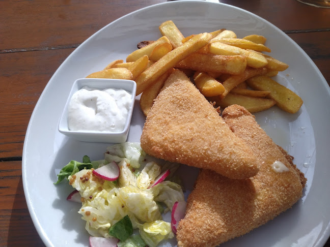 Opinii despre Restaurace a Penzion V Zátiší în Horní Lhota - Gastronomie a pohostinství