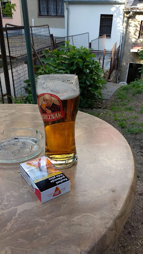 Comentarii opinii despre Pivnice U rybáře