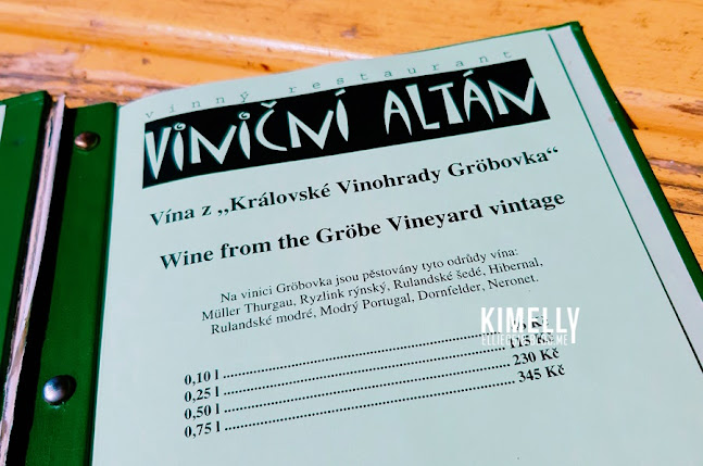 Comentarii opinii despre Viniční altán