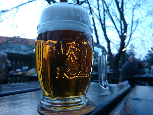 Comentarii opinii despre Restaurant Na Květnici